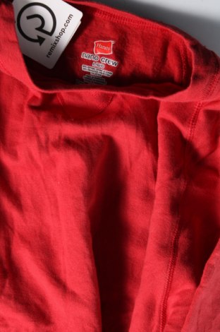 Herren Shirt Hanes, Größe L, Farbe Rot, Preis € 7,99