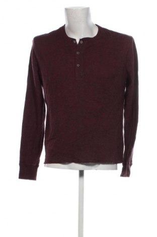 Herren Shirt J.Crew, Größe L, Farbe Lila, Preis € 19,99