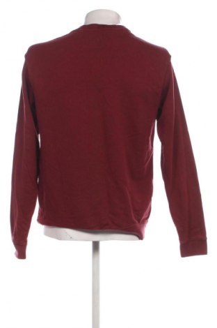 Herren Shirt Mango, Größe L, Farbe Rot, Preis € 6,99