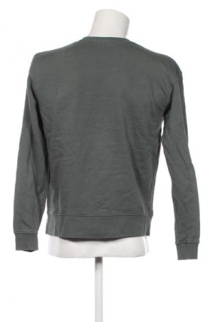 Herren Shirt Zara, Größe M, Farbe Grün, Preis 7,49 €