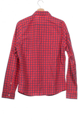 Herrenhemd Hollister, Größe M, Farbe Mehrfarbig, Preis 12,49 €