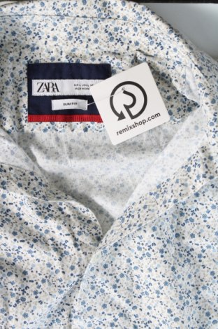 Herrenhemd Zara, Größe L, Farbe Mehrfarbig, Preis € 10,99