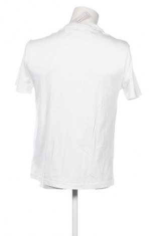 Herren T-Shirt Calvin Klein, Größe S, Farbe Ecru, Preis € 37,99