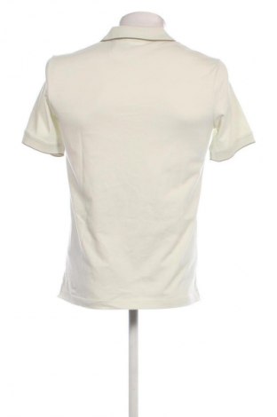 Herren T-Shirt Calvin Klein Jeans, Größe S, Farbe Grün, Preis 52,99 €