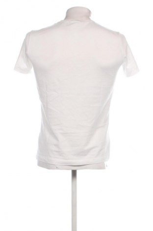 Herren T-Shirt Calvin Klein Jeans, Größe S, Farbe Ecru, Preis € 27,99