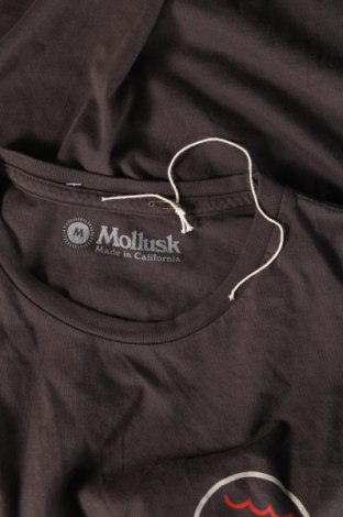 Ανδρικό t-shirt Mollusk, Μέγεθος M, Χρώμα Γκρί, Τιμή 28,99 €