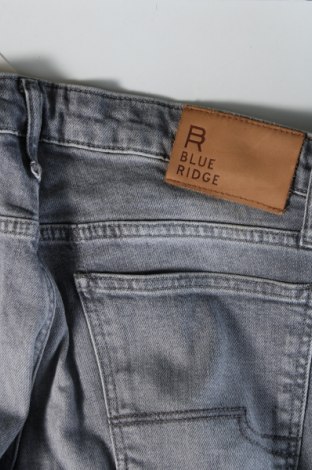 Herren Jeans Blue Ridge, Größe S, Farbe Grau, Preis 9,99 €