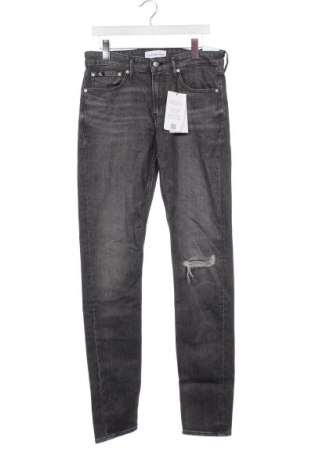 Ανδρικό τζίν Calvin Klein Jeans, Μέγεθος S, Χρώμα Γκρί, Τιμή 67,99 €