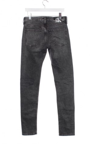 Herren Jeans Calvin Klein Jeans, Größe S, Farbe Grau, Preis 90,99 €