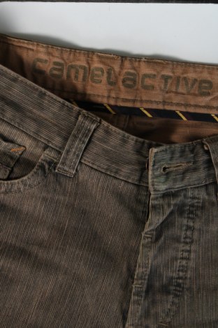 Męskie jeansy Camel Active, Rozmiar M, Kolor Brązowy, Cena 239,99 zł