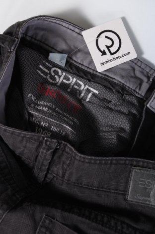 Herren Jeans Esprit, Größe L, Farbe Mehrfarbig, Preis 13,99 €