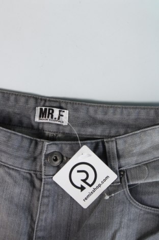 Herren Jeans Mr. F, Größe M, Farbe Grau, Preis € 11,99