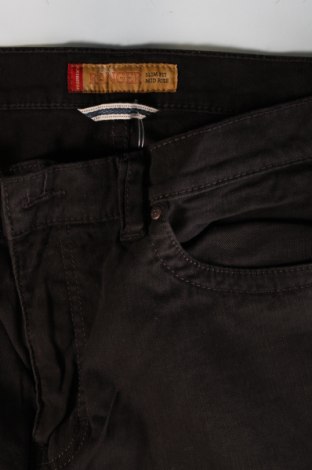 Herren Jeans Paddock`s, Größe XL, Farbe Braun, Preis € 17,49