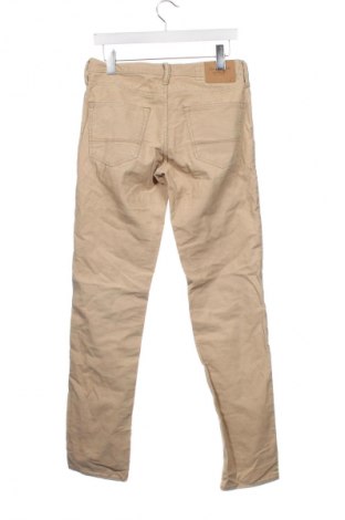 Herren Cordhose Abercrombie & Fitch, Größe M, Farbe Beige, Preis € 7,49