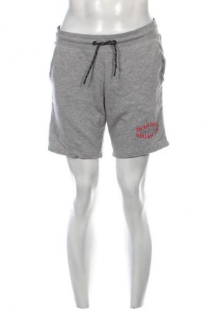 Pánske kraťasy  Jack & Jones, Veľkosť L, Farba Sivá, Cena  12,95 €