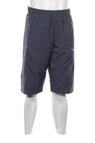 Herren Shorts PUMA, Größe M, Farbe Grau, Preis € 9,99