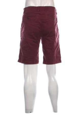 Herren Shorts Review, Größe L, Farbe Lila, Preis 10,49 €