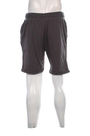 Herren Shorts Terranova, Größe L, Farbe Grau, Preis 5,99 €