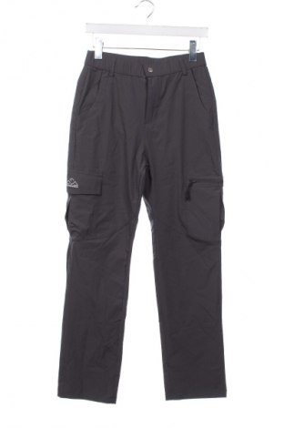 Herrenhose, Größe S, Farbe Grau, Preis € 15,49