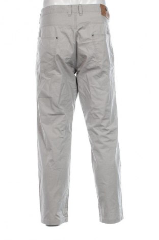 Herrenhose Blazek, Größe XL, Farbe Grau, Preis € 7,99