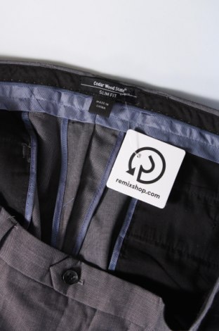 Herrenhose CedarWood State, Größe L, Farbe Grau, Preis 11,49 €