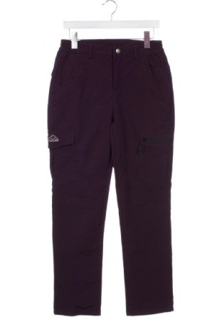 Herrenhose Outdoor, Größe S, Farbe Lila, Preis 9,99 €