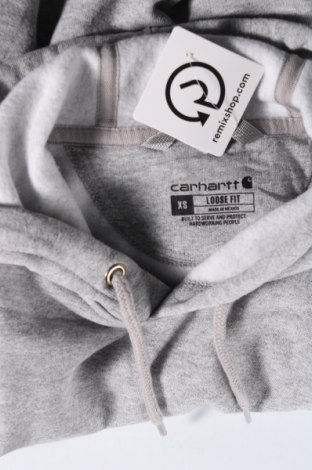 Herren Sweatshirt Carhartt, Größe XS, Farbe Grau, Preis 43,49 €