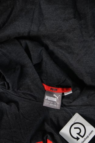 Męska bluza PUMA, Rozmiar XL, Kolor Szary, Cena 167,99 zł