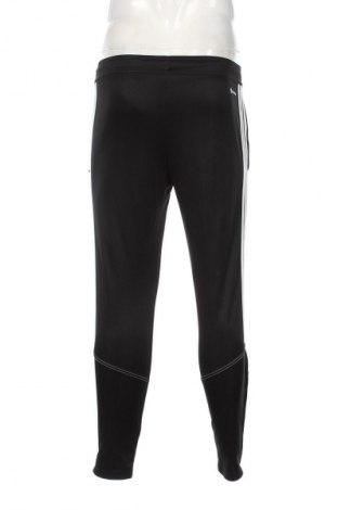 Herren Sporthose Adidas, Größe S, Farbe Schwarz, Preis € 32,49