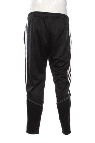 Herren Sporthose Adidas, Größe L, Farbe Schwarz, Preis 32,49 €