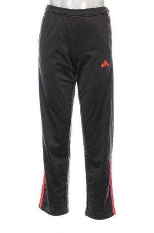 Herren Sporthose Adidas, Größe M, Farbe Grau, Preis 33,99 €