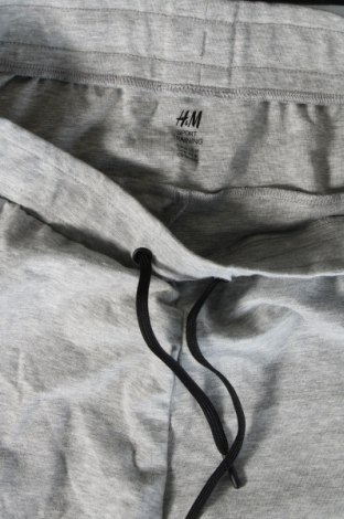 Herren Sporthose H&M Sport, Größe M, Farbe Grau, Preis 20,49 €