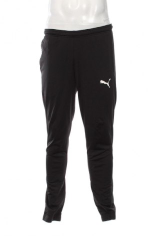 Herren Sporthose PUMA, Größe L, Farbe Schwarz, Preis 33,99 €