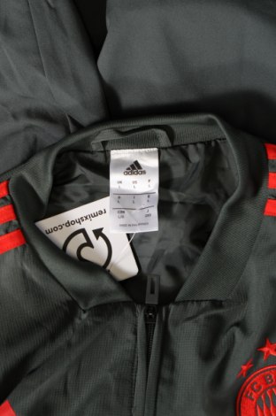 Męska kurtka Adidas, Rozmiar L, Kolor Zielony, Cena 197,99 zł