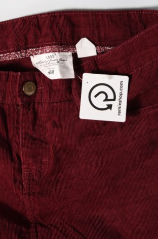 Rock H&M L.O.G.G., Größe S, Farbe Rot, Preis € 6,99