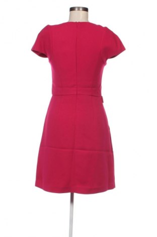 Kleid Armani Exchange, Größe S, Farbe Rosa, Preis 125,49 €