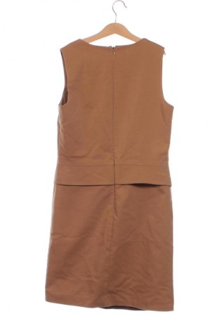 Kleid Next, Größe XS, Farbe Braun, Preis € 36,24