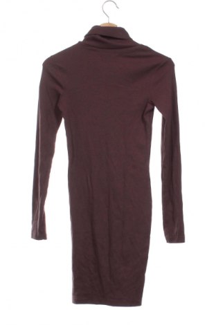 Kleid Sinsay, Größe XS, Farbe Braun, Preis 8,99 €