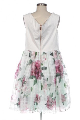 Kleid Ted Baker, Größe XL, Farbe Mehrfarbig, Preis 143,99 €