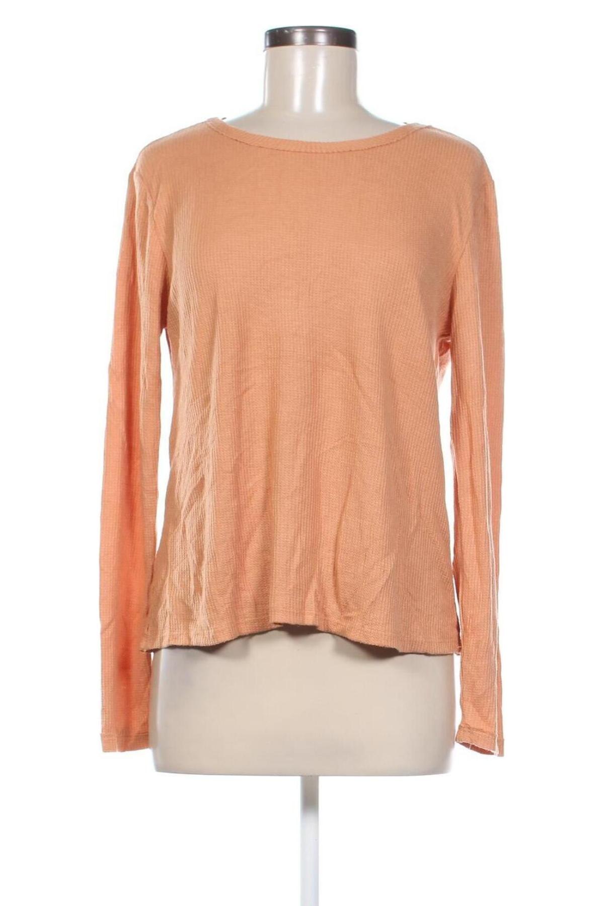 Damen Shirt Bluenotes, Größe S, Farbe Orange, Preis € 4,99