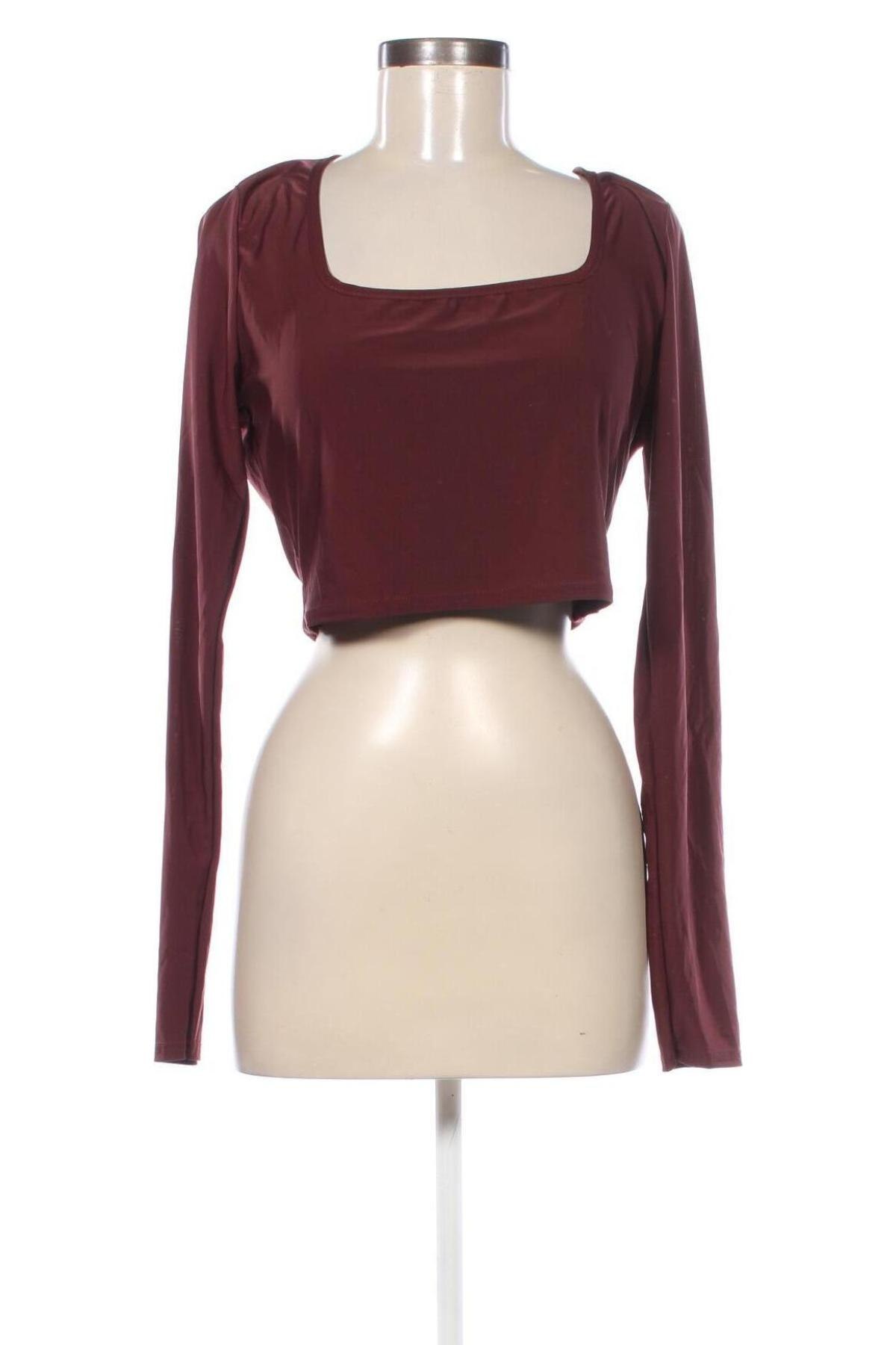 Damen Shirt Boohoo, Größe XL, Farbe Braun, Preis € 9,99