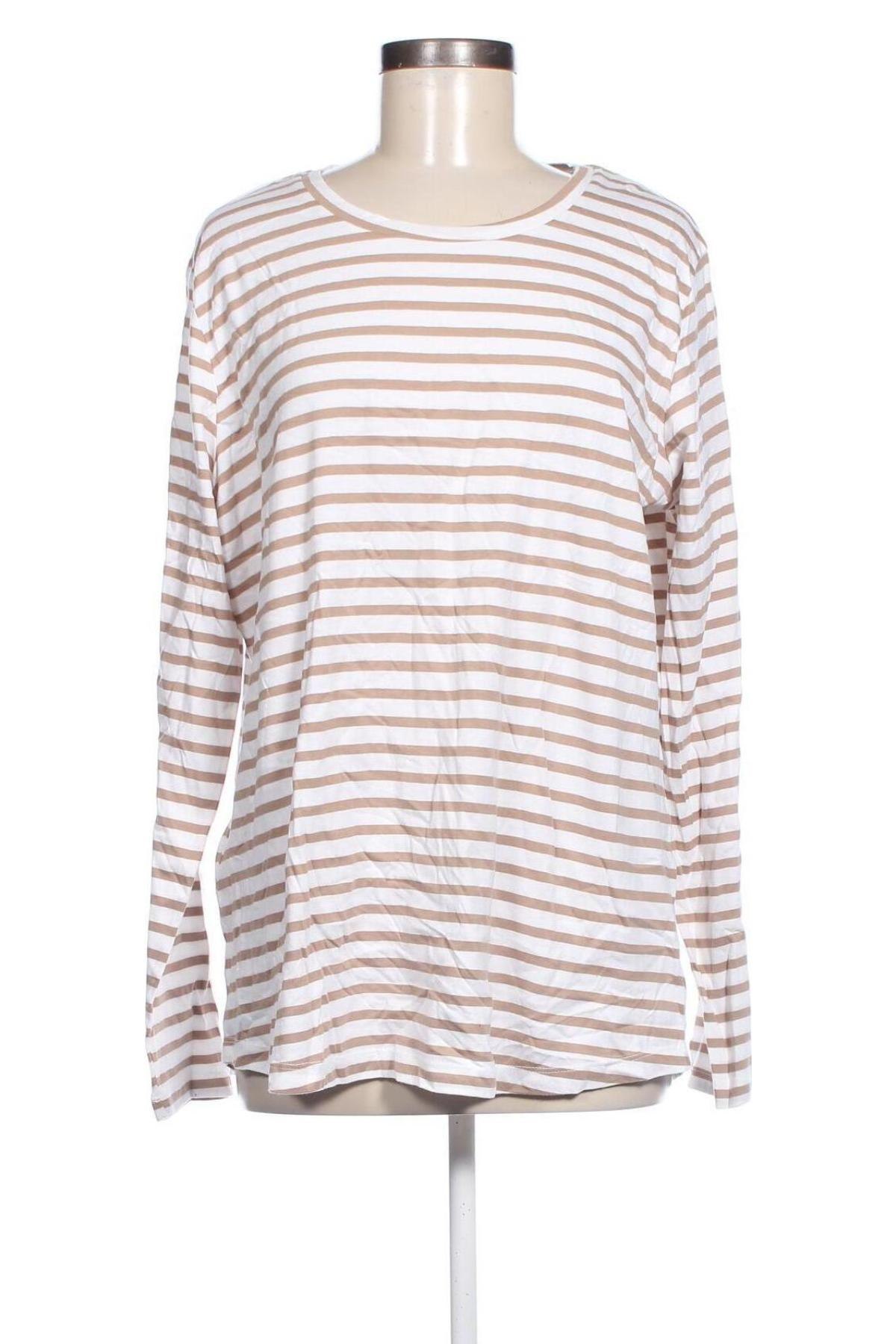 Damen Shirt Brilliant, Größe XL, Farbe Mehrfarbig, Preis € 6,99