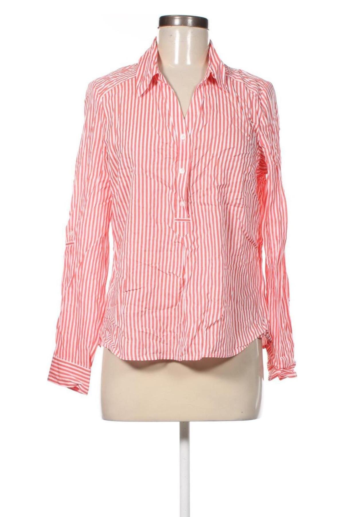 Damen Shirt Collection L, Größe S, Farbe Mehrfarbig, Preis € 5,99