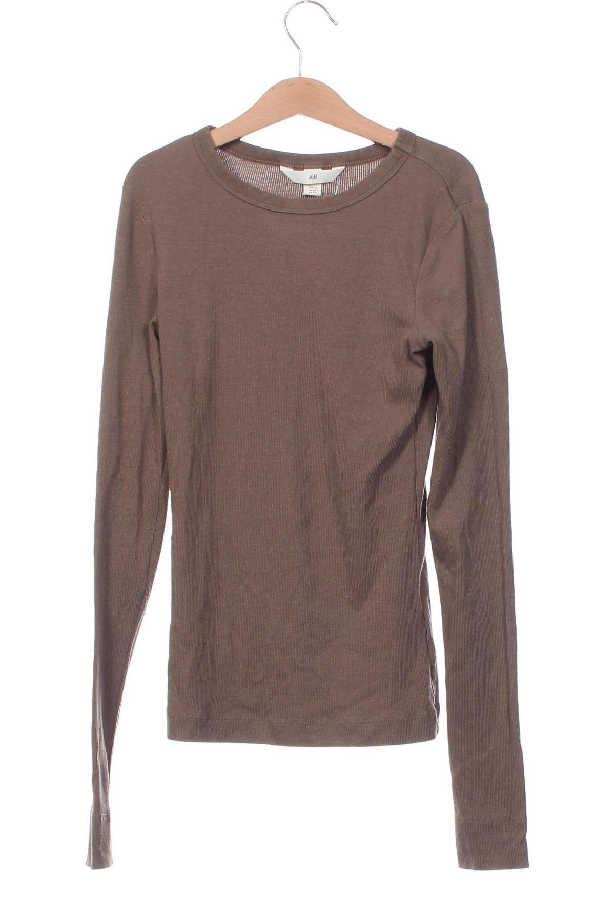 Damen Shirt H&M, Größe XS, Farbe Braun, Preis 6,49 €