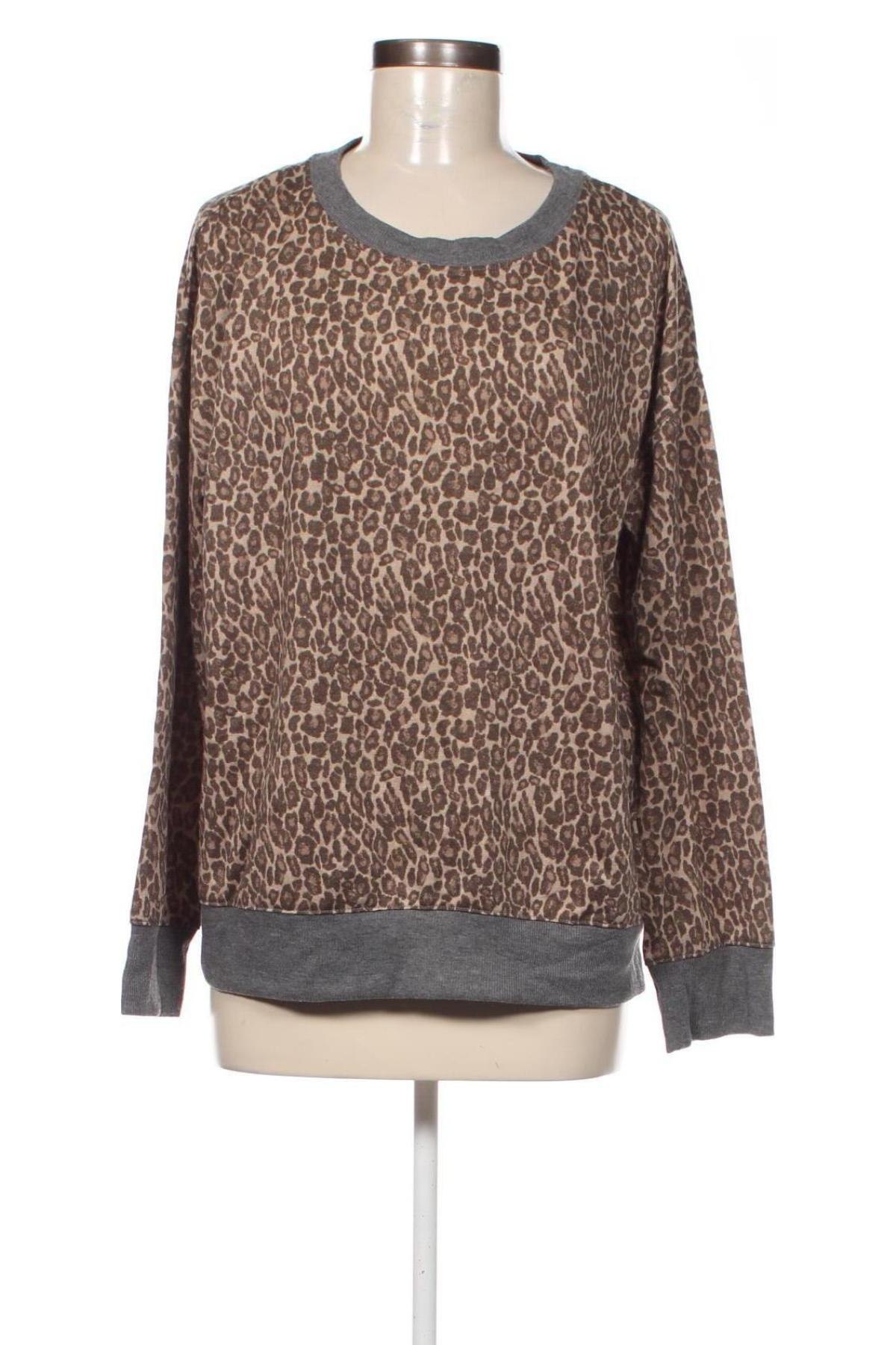 Damen Shirt Splendid, Größe XL, Farbe Mehrfarbig, Preis € 17,49