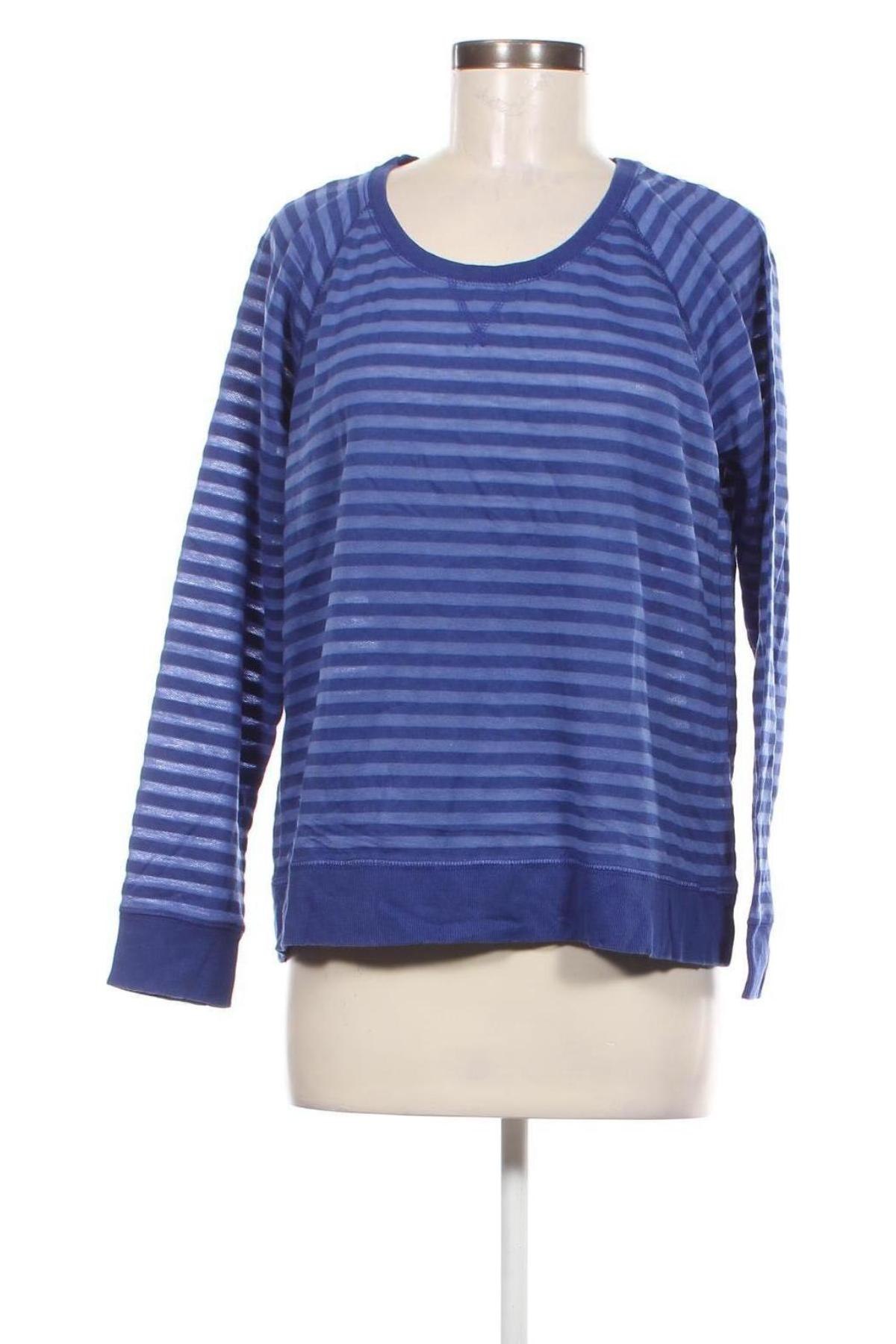 Damen Shirt Style & Co, Größe L, Farbe Blau, Preis € 6,99