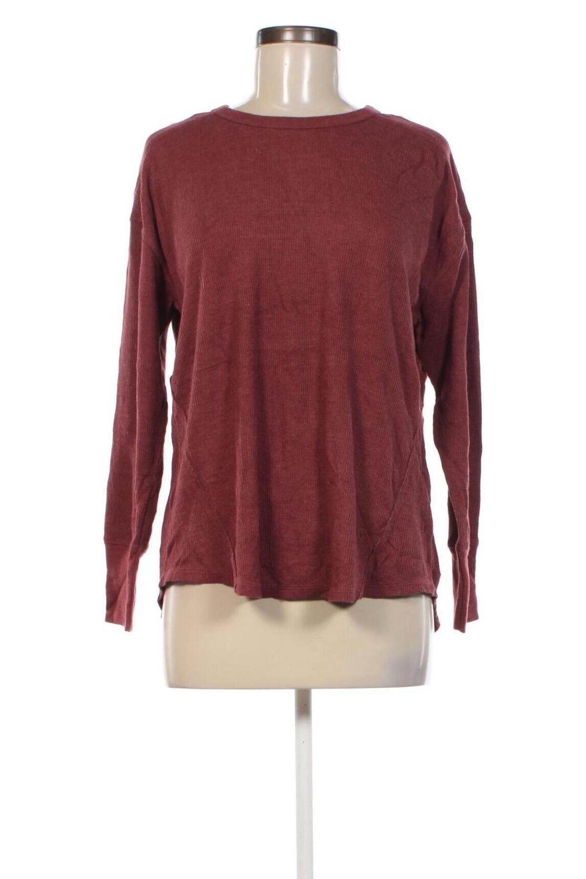 Damen Shirt Terra & Sky, Größe L, Farbe Rot, Preis 3,99 €