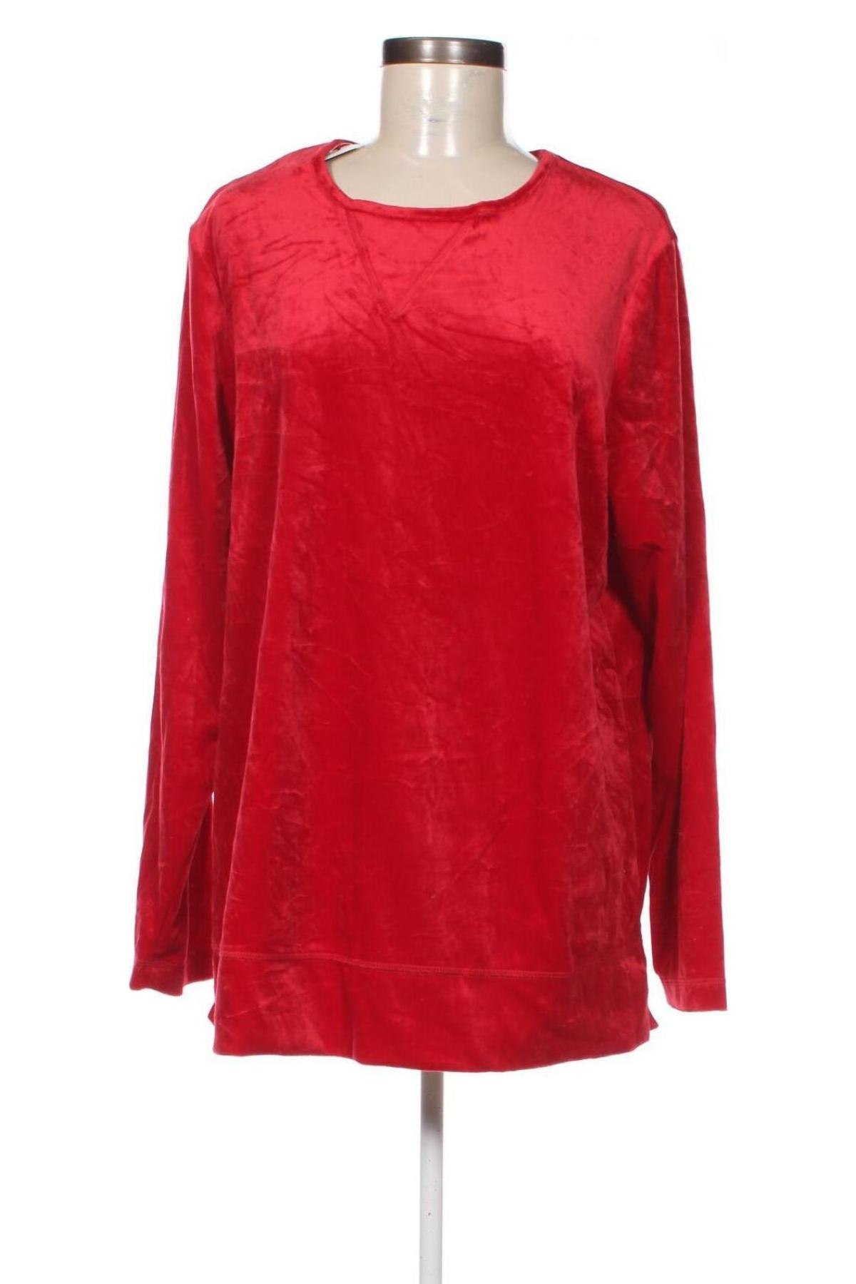 Damen Shirt Woman Within, Größe L, Farbe Rot, Preis 6,99 €