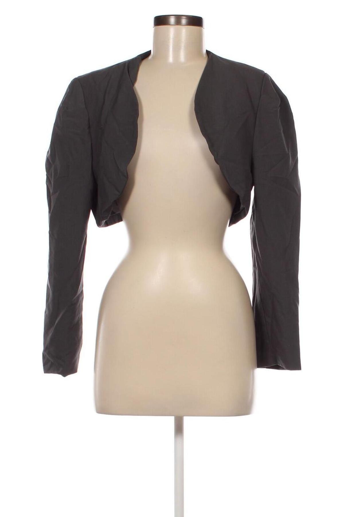 Damen Blazer, Größe L, Farbe Grau, Preis € 15,99