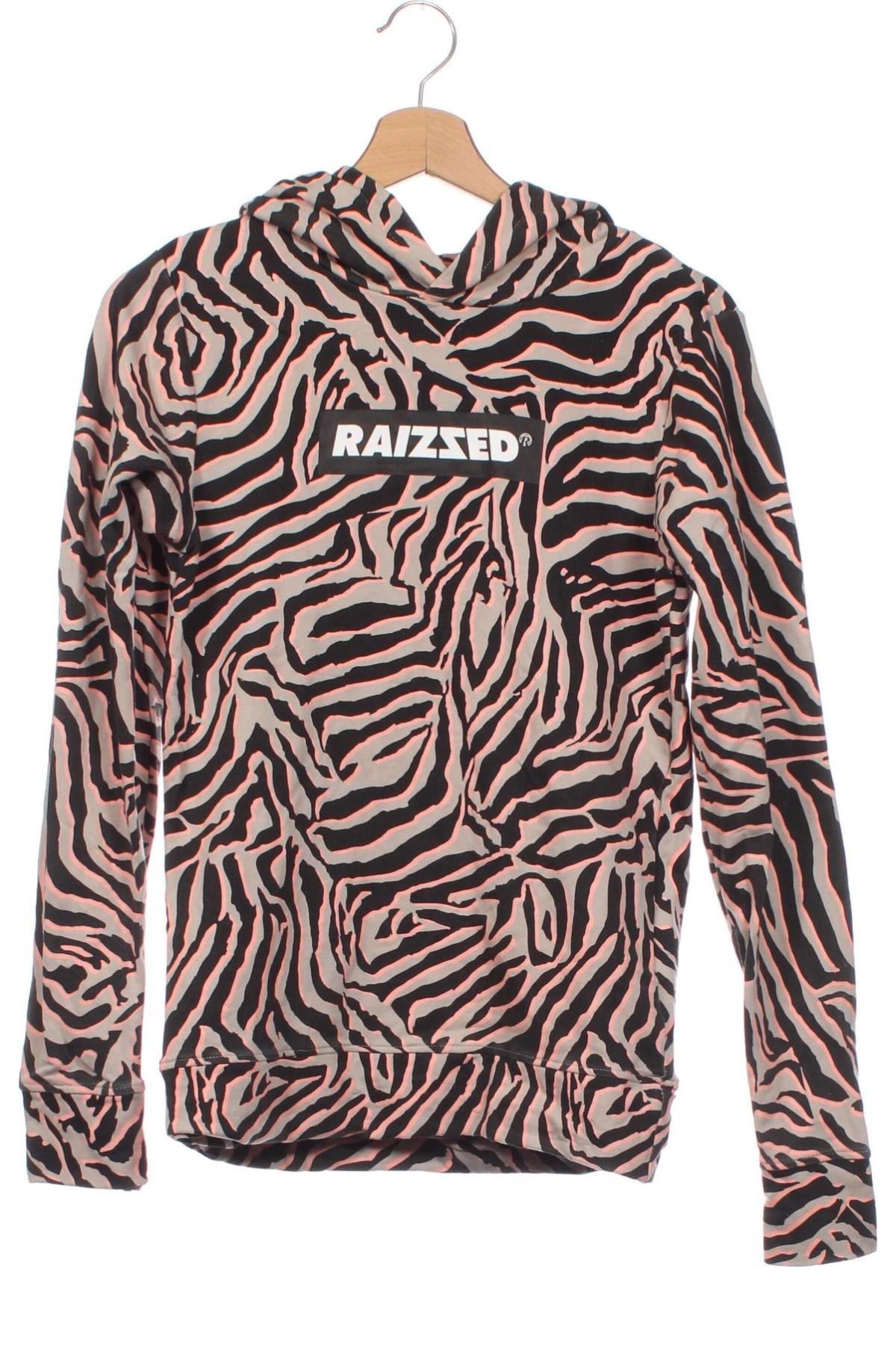 Kinder Sweatshirts Raizzed, Größe 15-18y/ 170-176 cm, Farbe Mehrfarbig, Preis € 9,49